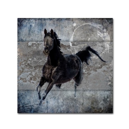 LightBoxJournal 'Black Mare 1' Canvas Art,18x18